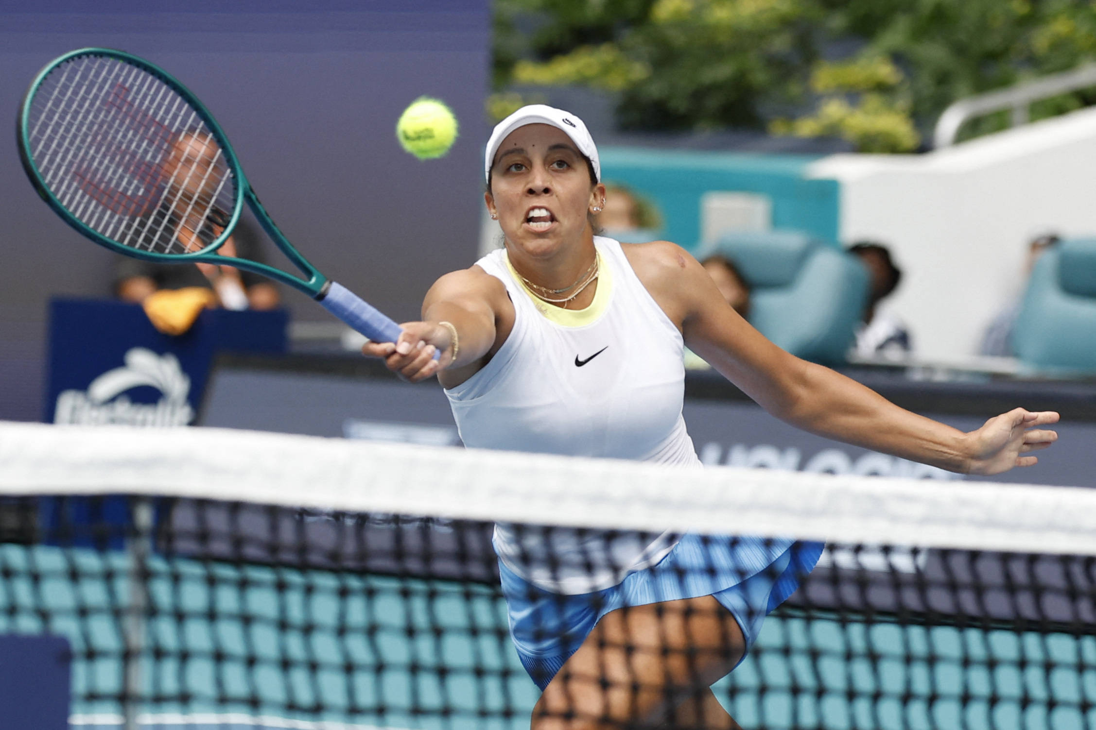 未来极有可 未来极有可