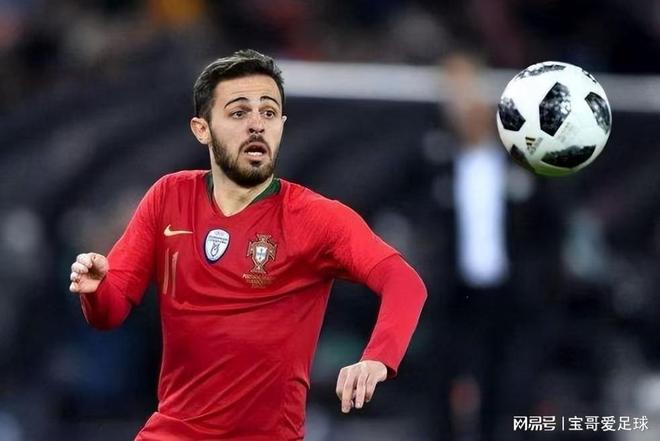 图片建议和 图片建议和