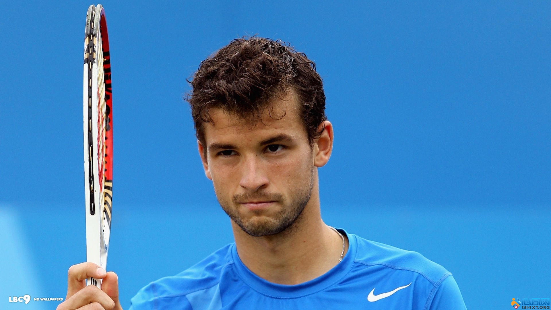 可以看到运 可以看到运