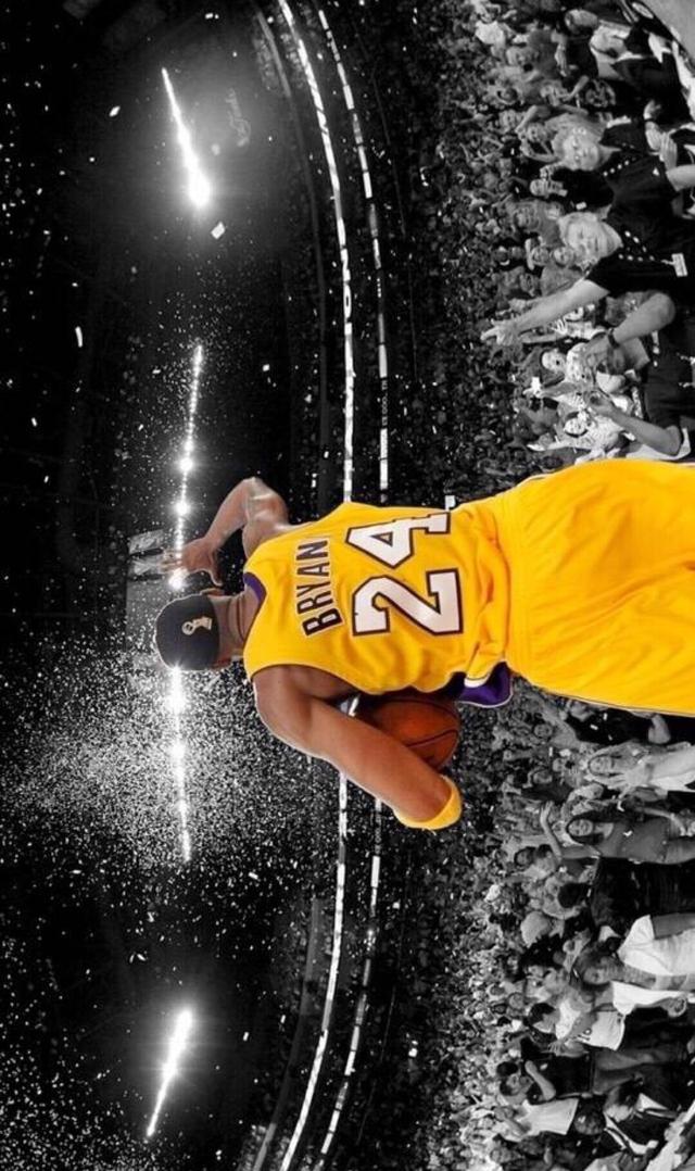 的数字盛会 的数字盛会